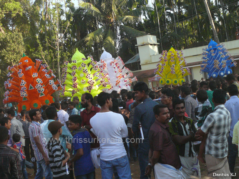 mangad-pooram-2013 (34)